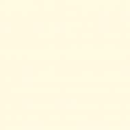 Краска латексная Triora TR-37 silk&baby шелковистый мат NCS S 0510-G90Y 10 л Краска латексная Triora TR-37 silk&baby шелковистый мат NCS S 0510-G90Y 10 л