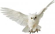 Декорация Сова в полете 50x30x15 см (B40829C-W)