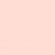 Краска латексная Triora TR-37 silk&baby шелковистый мат NCS S 0515-R 10 л