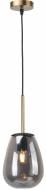 Светильник подвесной Sensio Cleveland 1x40 Вт /E27 черный/дымчатый ALB-P00429-SM