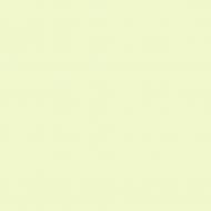 Краска латексная Triora TR-37 silk&baby шелковистый мат NCS S 0520-G40Y 10 л