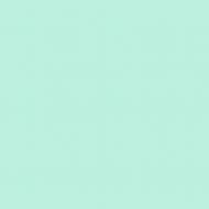 Краска латексная Triora TR-37 silk&baby шелковистый мат NCS S 0530-B60G 10 л