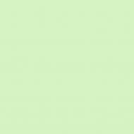 Краска латексная Triora TR-37 silk&baby шелковистый мат NCS S 0530-G10Y 10 л