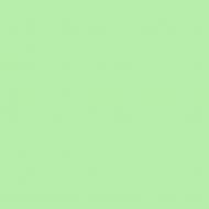 Краска латексная Triora TR-37 silk&baby шелковистый мат NCS S 0540-G10Y 10 л