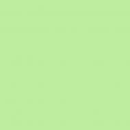 Краска латексная Triora TR-37 silk&baby шелковистый мат NCS S 0540-G20Y 10 л