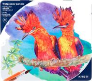 Карандаши акварельные Птицы 24 цвета (K18-1053) KITE