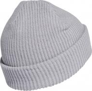 Шапка Adidas Clsc Beanie GE6124 р.one size серый