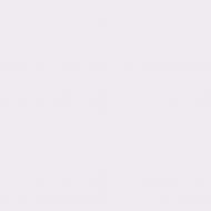 Краска латексная Triora TR-37 silk&baby шелковистый мат NCS S 0907-R50B 10 л