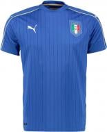 Футболка Puma FIGC Italia Home Replica 74893301 р.L голубой