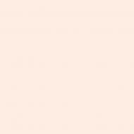 Краска латексная Triora TR-37 silk&baby шелковистый мат NCS S 0907-Y90R 10 л