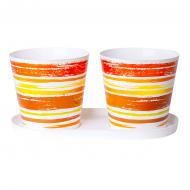 Набор пластик Огородик на подоконнике (2 шт.) полоски круглый микс 1,8 л Алеана (127094)