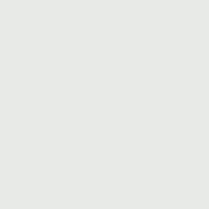 Краска латексная Triora TR-37 silk&baby шелковистый мат NCS S 1002-B50G 10 л