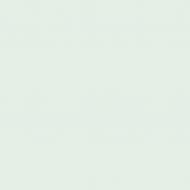 Краска латексная Triora TR-37 silk&baby шелковистый мат NCS S 1005-B80G 10 л