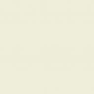 Краска латексная Triora TR-37 silk&baby шелковистый мат NCS S 1005-G40Y 10 л