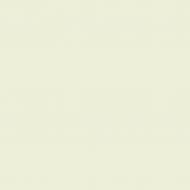 Краска латексная Triora TR-37 silk&baby шелковистый мат NCS S 1005-G50Y 10 л