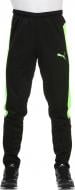 Брюки Puma IT evoTRG Pant 65517850 р. L черный