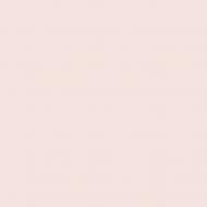 Краска латексная Triora TR-37 silk&baby шелковистый мат NCS S 1005-R 10 л