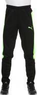 Брюки Puma IT evoTRG Pant 65517850 р. XL черный