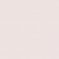 Краска латексная Triora TR-37 silk&baby шелковистый мат NCS S 1005-R20B 10 л