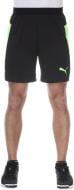 Шорты Puma IT evoTRG Shorts 65518250 р. M черный