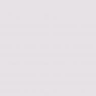 Краска латексная Triora TR-37 silk&baby шелковистый мат NCS S 1005-R50B 10 л