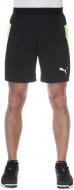 Шорты Puma IT evoTRG Shorts 65518250 р. S черный