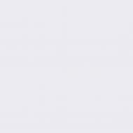 Краска латексная Triora TR-37 silk&baby шелковистый мат NCS S 1005-R60B 10 л