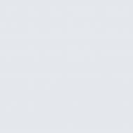 Краска латексная Triora TR-37 silk&baby шелковистый мат NCS S 1005-R70B 10 л