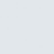 Краска латексная Triora TR-37 silk&baby шелковистый мат NCS S 1005-R90B 10 л