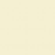 Краска латексная Triora TR-37 silk&baby шелковистый мат NCS S 1005-Y 10 л