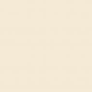 Краска латексная Triora TR-37 silk&baby шелковистый мат NCS S 1005-Y30R 10 л