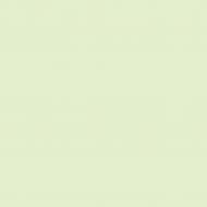 Краска латексная Triora TR-37 silk&baby шелковистый мат NCS S 1010-G20Y 10 л