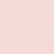 Краска латексная Triora TR-37 silk&baby шелковистый мат NCS S 1010-R10B 10 л