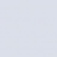 Краска латексная Triora TR-37 silk&baby шелковистый мат NCS S 1010-R70B 10 л