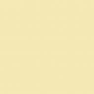 Краска латексная Triora TR-37 silk&baby шелковистый мат NCS S 1010-Y 10 л