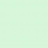 Краска латексная Triora TR-37 silk&baby шелковистый мат NCS S 1015-G 10 л