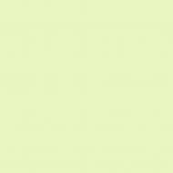 Краска латексная Triora TR-37 silk&baby шелковистый мат NCS S 1015-G40Y 10 л