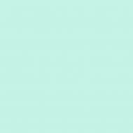 Краска латексная Triora TR-37 silk&baby шелковистый мат NCS S 1020-B70G 10 л