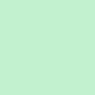 Краска латексная Triora TR-37 silk&baby шелковистый мат NCS S 1020-B90G 10 л