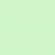 Краска латексная Triora TR-37 silk&baby шелковистый мат NCS S 1020-G10Y 10 л