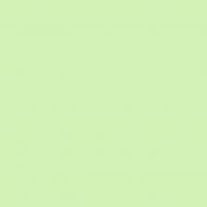 Краска латексная Triora TR-37 silk&baby шелковистый мат NCS S 1020-G20Y 10 л