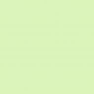 Краска латексная Triora TR-37 silk&baby шелковистый мат NCS S 1020-G30Y 10 л