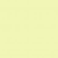 Краска латексная Triora TR-37 silk&baby шелковистый мат NCS S 1020-G50Y 10 л