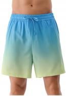 Шорти 4F BOARD SHORTS M132 р. L блакитний