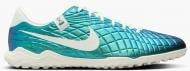 Cороконіжки Nike LEGEND 10 ACADEY TF 30 FQ3245-300 р.43 зелений
