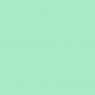 Краска латексная Triora TR-37 silk&baby шелковистый мат NCS S 1030-B90G 10 л