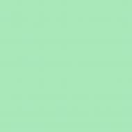 Краска латексная Triora TR-37 silk&baby шелковистый мат NCS S 1030-G 10 л