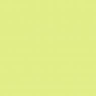 Краска латексная Triora TR-37 silk&baby шелковистый мат NCS S 1030-G50Y 10 л