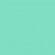 Краска латексная Triora TR-37 silk&baby шелковистый мат NCS S 1040-B70G 10 л