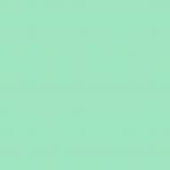 Краска латексная Triora TR-37 silk&baby шелковистый мат NCS S 1040-B90G 10 л